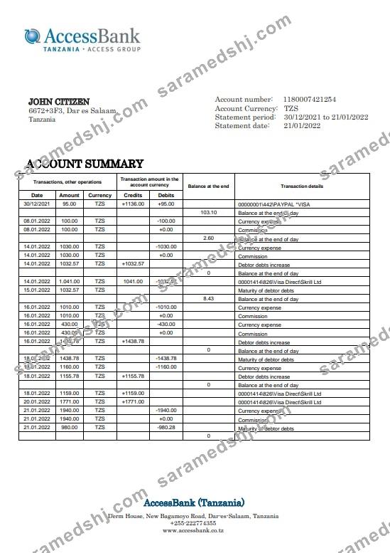 Tanzania Access Bank statement template in Word and PDF format